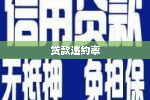 临漳贷款违约率