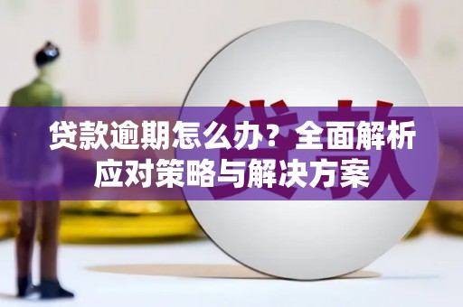 临漳贷款逾期怎么办？全面解析应对策略与解决方案