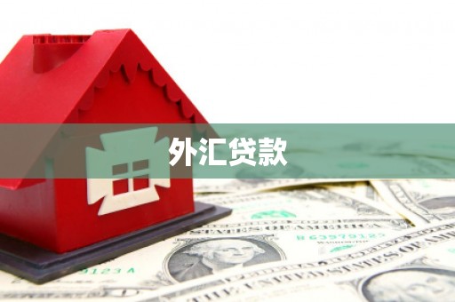 临漳外汇贷款