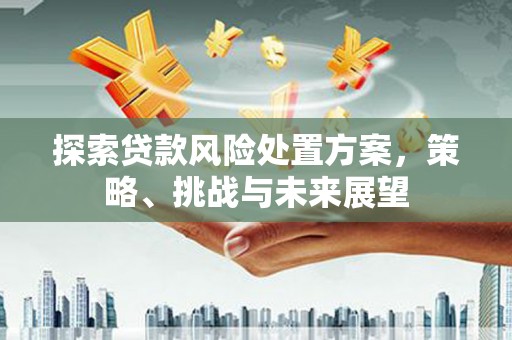 临漳探索贷款风险处置方案，策略、挑战与未来展望