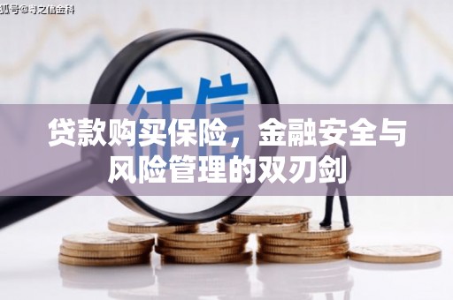 临漳贷款购买保险，金融安全与风险管理的双刃剑