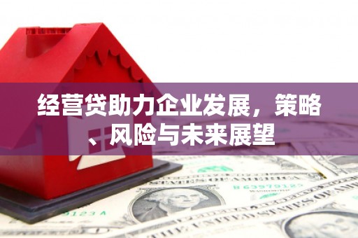 临漳经营贷助力企业发展，策略、风险与未来展望