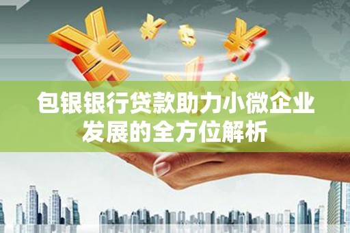 临漳包银银行贷款助力小微企业发展的全方位解析