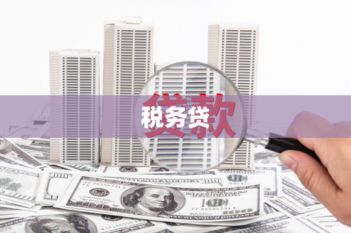 临漳税务贷