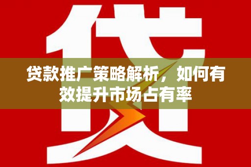 临漳贷款推广策略解析，如何有效提升市场占有率
