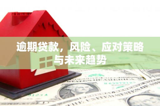 临漳逾期贷款，风险、应对策略与未来趋势