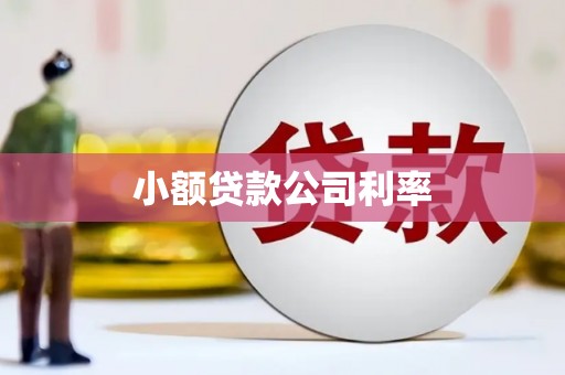 临漳小额贷款公司利率