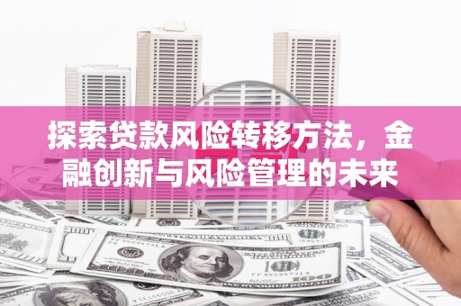 临漳探索贷款风险转移方法，金融创新与风险管理的未来