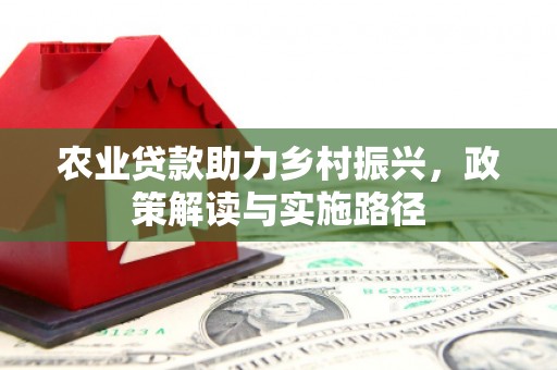 临漳农业贷款助力乡村振兴，政策解读与实施路径