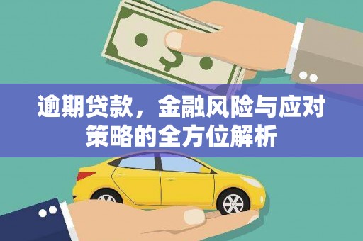 临漳逾期贷款，金融风险与应对策略的全方位解析