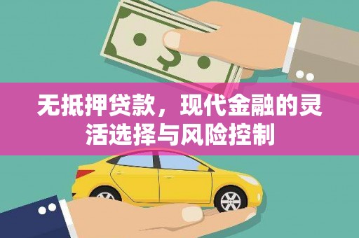 临漳无抵押贷款，现代金融的灵活选择与风险控制
