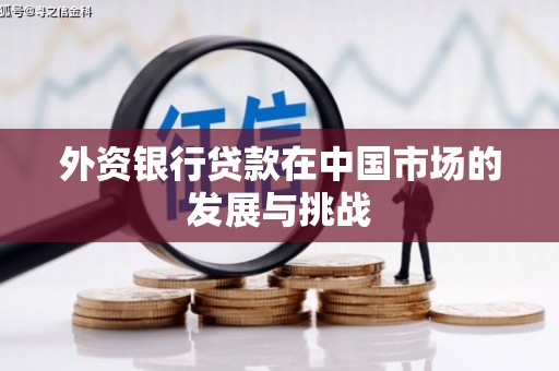 临漳外资银行贷款在中国市场的发展与挑战