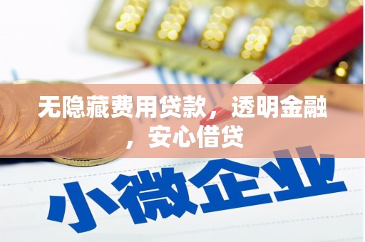 临漳无隐藏费用贷款，透明金融，安心借贷
