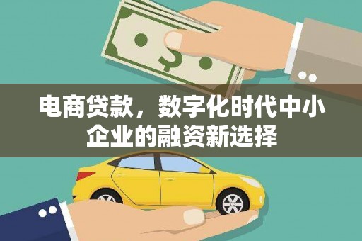 临漳电商贷款，数字化时代中小企业的融资新选择