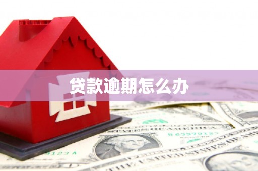 临漳贷款逾期怎么办