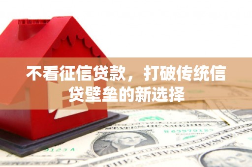 临漳不看征信贷款，打破传统信贷壁垒的新选择