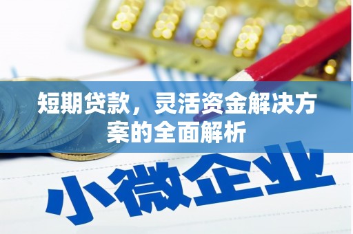 临漳短期贷款，灵活资金解决方案的全面解析