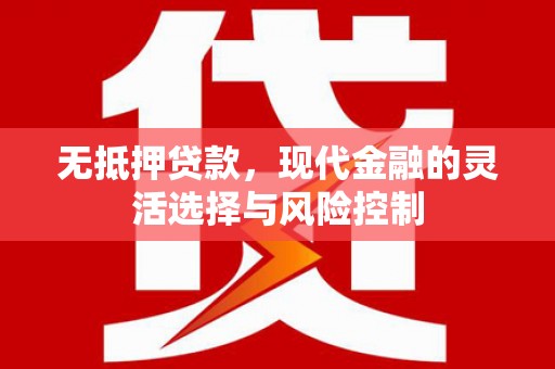 临漳无抵押贷款，现代金融的灵活选择与风险控制