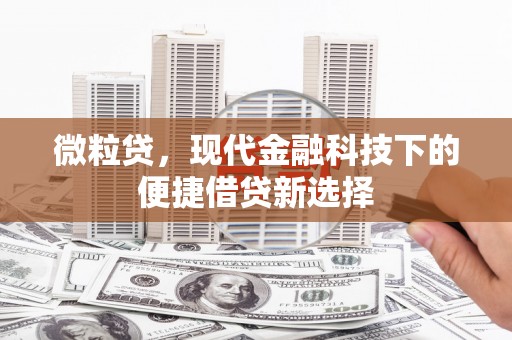 临漳微粒贷，现代金融科技下的便捷借贷新选择