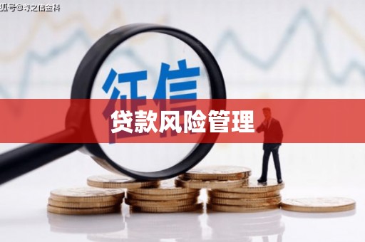 临漳贷款风险管理