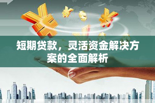 临漳短期贷款，灵活资金解决方案的全面解析