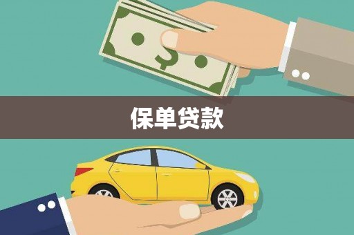 临漳保单贷款