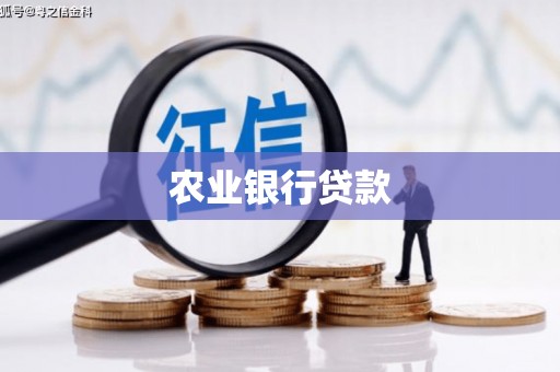 临漳农业银行贷款
