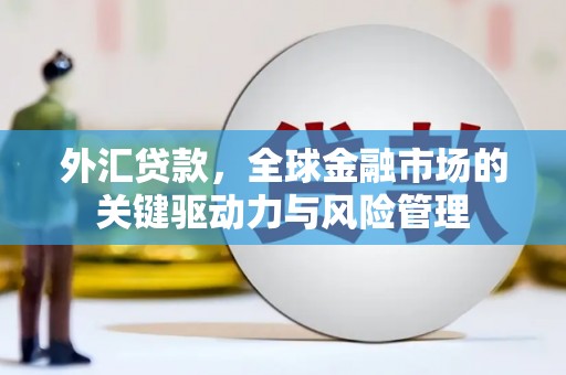 临漳外汇贷款，全球金融市场的关键驱动力与风险管理
