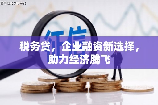 临漳税务贷，企业融资新选择，助力经济腾飞
