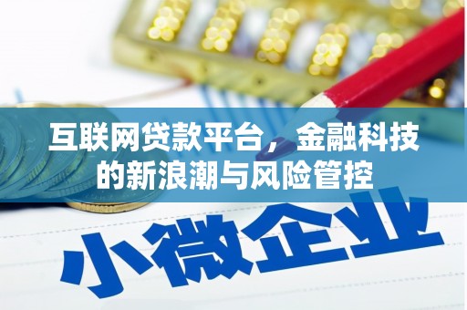 临漳互联网贷款平台，金融科技的新浪潮与风险管控