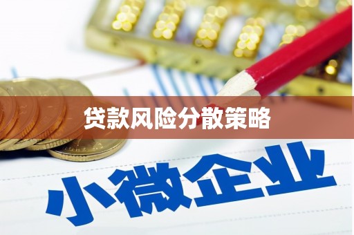 临漳贷款风险分散策略