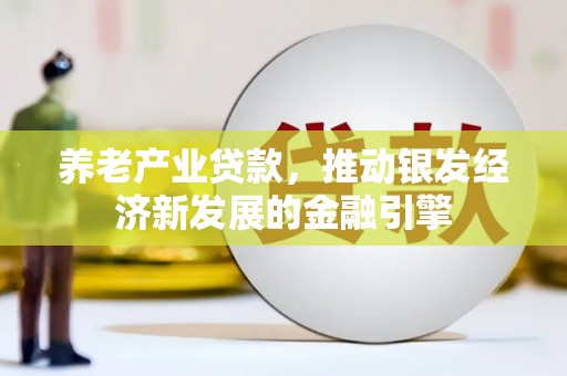 临漳养老产业贷款，推动银发经济新发展的金融引擎