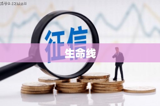 临漳生命线