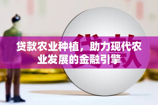 临漳贷款农业种植，助力现代农业发展的金融引擎