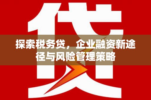 临漳探索税务贷，企业融资新途径与风险管理策略