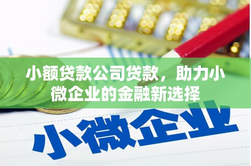 临漳小额贷款公司贷款，助力小微企业的金融新选择