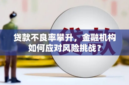 临漳贷款不良率攀升，金融机构如何应对风险挑战？