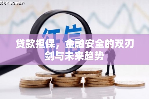 临漳贷款担保，金融安全的双刃剑与未来趋势
