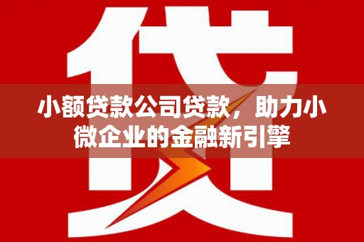 临漳小额贷款公司贷款，助力小微企业的金融新引擎
