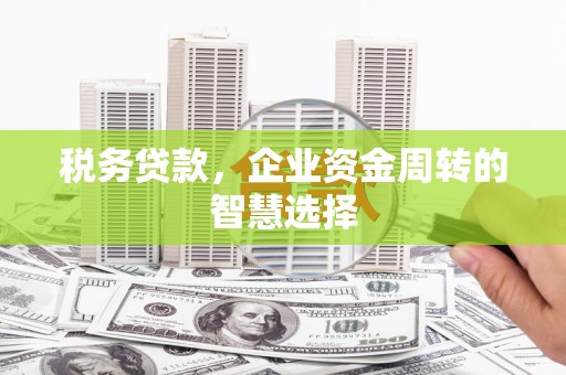 临漳税务贷款，企业资金周转的智慧选择