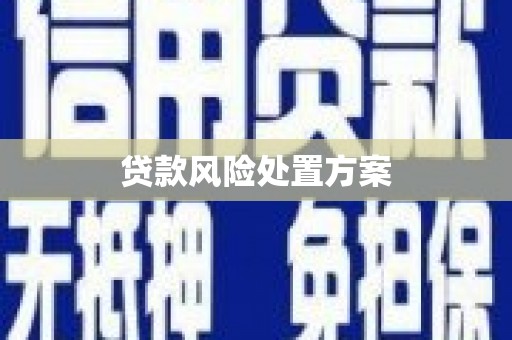 临漳贷款风险处置方案