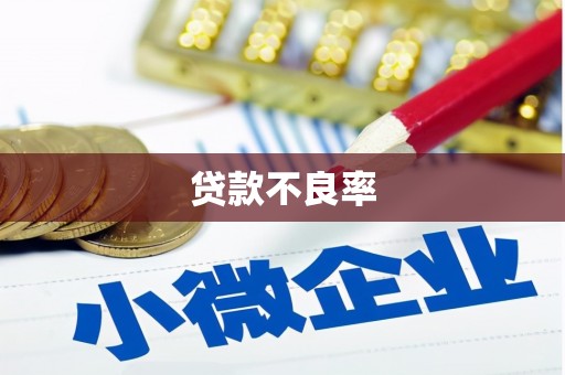 临漳贷款不良率