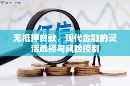 临漳无抵押贷款，现代金融的灵活选择与风险控制