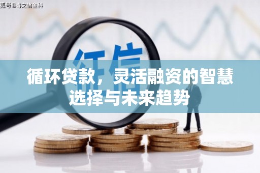 临漳循环贷款，灵活融资的智慧选择与未来趋势