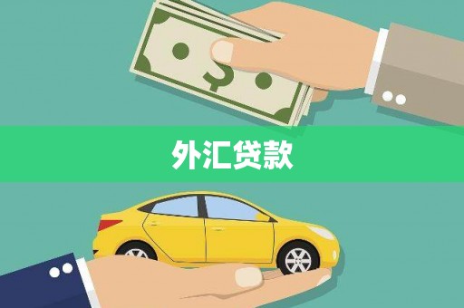 临漳外汇贷款