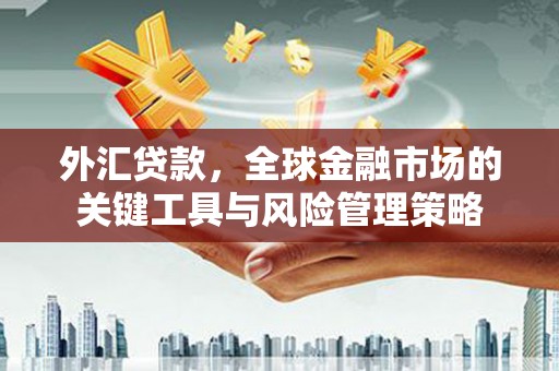 临漳外汇贷款，全球金融市场的关键工具与风险管理策略