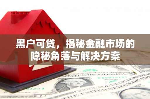 临漳黑户可贷，揭秘金融市场的隐秘角落与解决方案