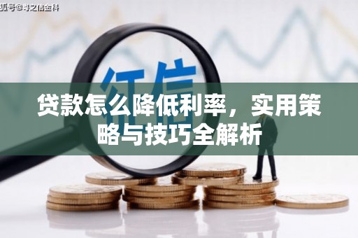 临漳贷款怎么降低利率，实用策略与技巧全解析