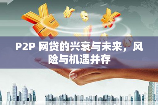 临漳P2P 网贷的兴衰与未来，风险与机遇并存