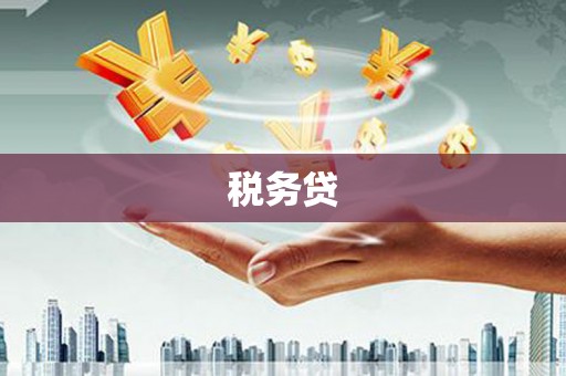 临漳税务贷